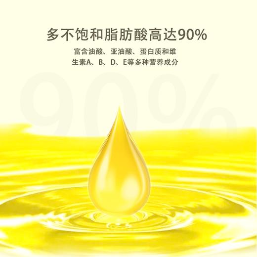 侗歌原味山茶油 5L/1桶  绿色健康 0添加 商品图2