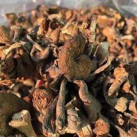 【干货精选】东北野生榛蘑 无法人工培育的天然好物 自带天然香气 ⁪可炒可炖 ‏一点泡发一大盘⁧