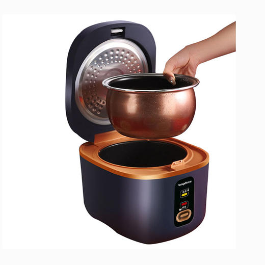 龙的迷你电饭煲LD-FS21A 商品图1