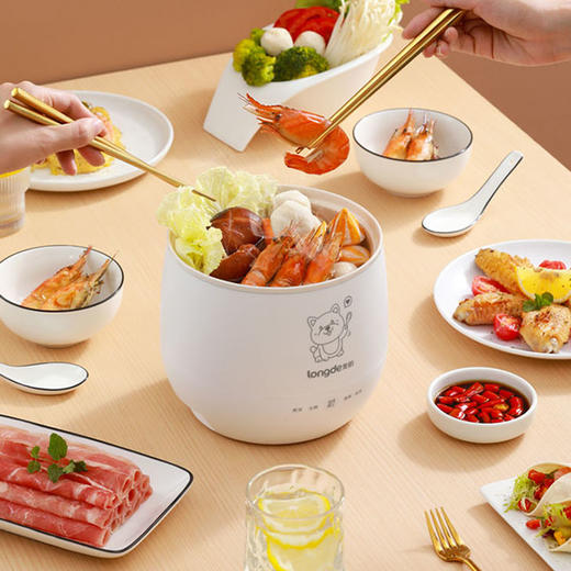 龙的迷你多功能锅LD-FS16A 商品图4