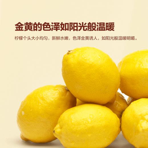 MM 山姆 Jumbo大颗黄柠檬 1.36kg 商品图3