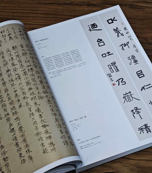 重磅推荐！！《林散之全集》，精装，8开，全7册，两箱，林散之著，王冬龄、黄啸主编，湖南美术出版社2024年5月一版一印，定价6800，售价：5504元。 商品图3