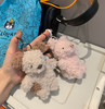 jellycat卷毛小猪小狗系列挂件101908 商品缩略图4