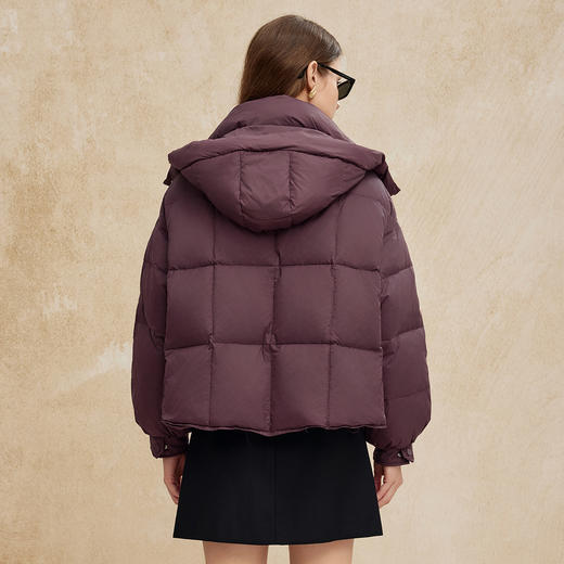 PR007斯尔丽24冬季新款鸭绒泡芙柔软廓形时尚气质减龄百搭短款羽绒服 商品图4