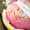生态三红蜜柚 | 合作生产 *Ecological three red honey pomelo Partner Production 商品缩略图0