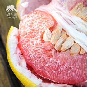 生态三红蜜柚 | 合作生产 *Ecological three red honey pomelo Partner Production