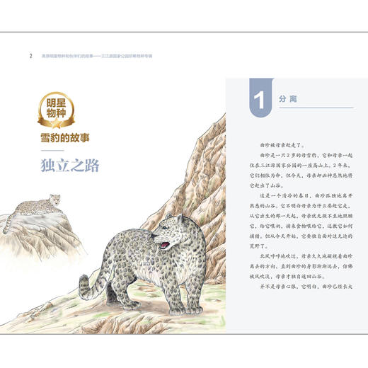 高原明星物种和伙伴们的故事--三江源国家公园珍稀物种专辑 商品图3