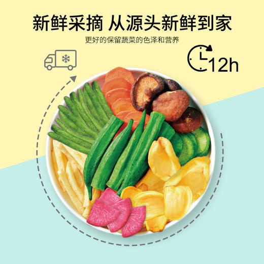 鲜记 综合果蔬脆500g  8种混合果蔬干 一咬嘎嘣脆  休闲零食 酥脆爽口 轻食生活   48小时发货 商品图4