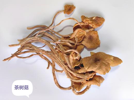 菌汤包  通道特产原生态健康品 来自大山的馈赠 精挑细选 润福干货 70克一包 商品图6