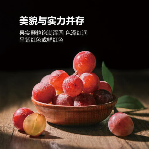 MM 山姆 妮娜葡萄 1.36kg 商品图4