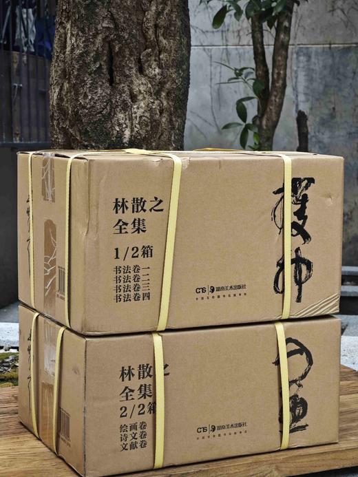 重磅推荐！！《林散之全集》，精装，8开，全7册，两箱，林散之著，王冬龄、黄啸主编，湖南美术出版社2024年5月一版一印，定价6800，售价：5504元。 商品图0