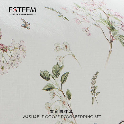 雪莉天丝四件套 商品图2