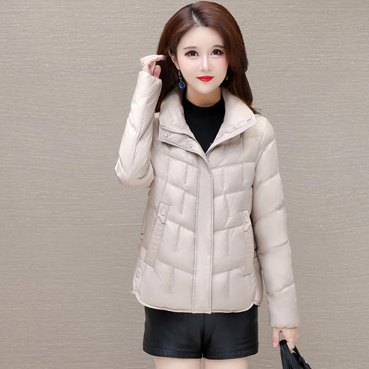 QYM 24DB87-L纯色简约修身时尚小个子立领羽绒服 商品图0
