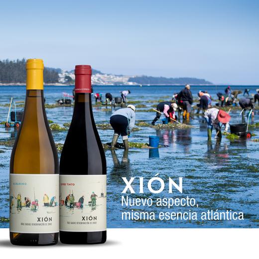 Attis Xion Albarino White / Red 阿提斯锡安干白/干红葡萄酒 商品图2