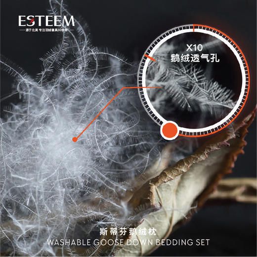 斯蒂芬可水洗鹅绒枕 商品图4