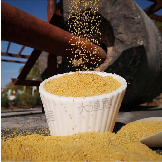 内蒙小米-预售（4斤/箱，每箱2袋） 商品图0