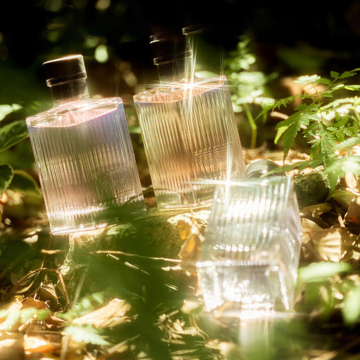 【清仓好价】卡诗室内香氛195ML 商品图2