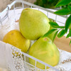 优选|雪峰山柠檬香柚 微微的柠檬香 脆嫩多汁多甜蜜 自然成熟老品种 拍4斤送1斤 商品缩略图2