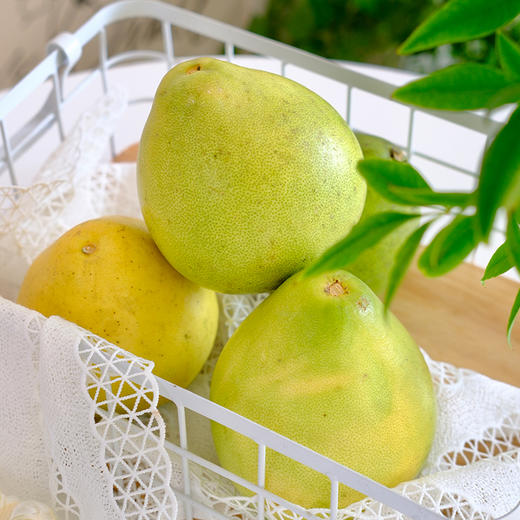 优选|雪峰山柠檬香柚 微微的柠檬香 脆嫩多汁多甜蜜 自然成熟老品种 拍4斤送1斤 商品图2