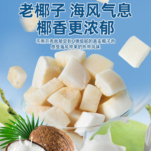 椰子脆块椰子片脆片椰子肉香烤椰子角椰子海干南特产休闲网红零食童年记忆老家特产零食网红零食 商品图2