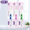 【内购专享】舒客 弹力护龈成人情侣牙刷单支装*3 旅行待客必备 新老包装随机发（颜色随机） 商品缩略图0
