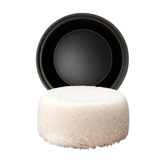 龙的迷你电饭煲LD-FS21A 商品图3