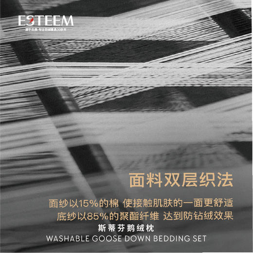 斯蒂芬可水洗鹅绒枕 商品图3