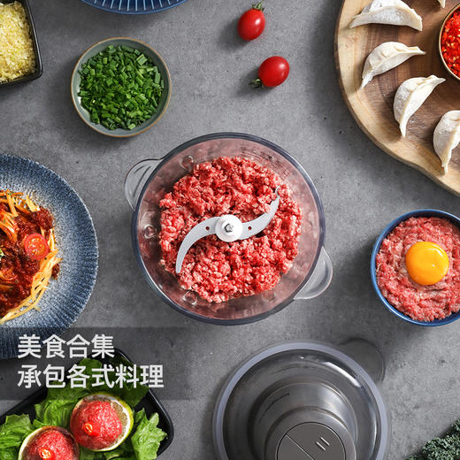 龙的绞肉机LD-KM206 商品图1