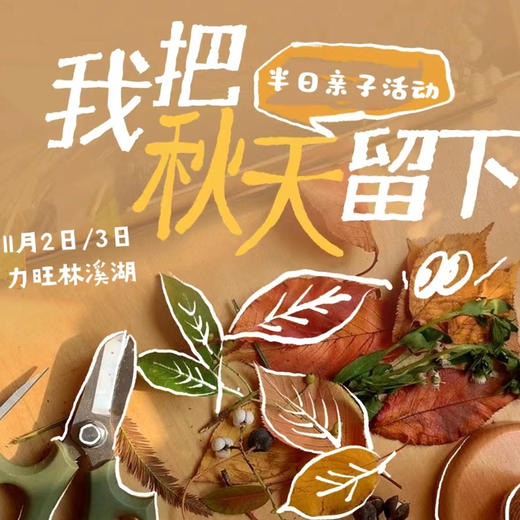 自然探索系列|【11月2日/3日】|自然的印记，邂逅森林的秘密亲子半日营 商品图0