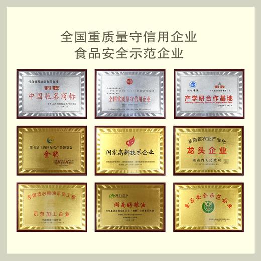 侗歌原味山茶油 5L/1桶  绿色健康 0添加 商品图4