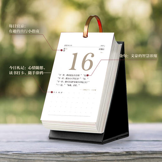 麦家陪你读书日历2025 茅盾文学奖得主麦家365天倾情陪伴翻页台历创意新年礼物礼品送人桌面摆件推荐 商品图4