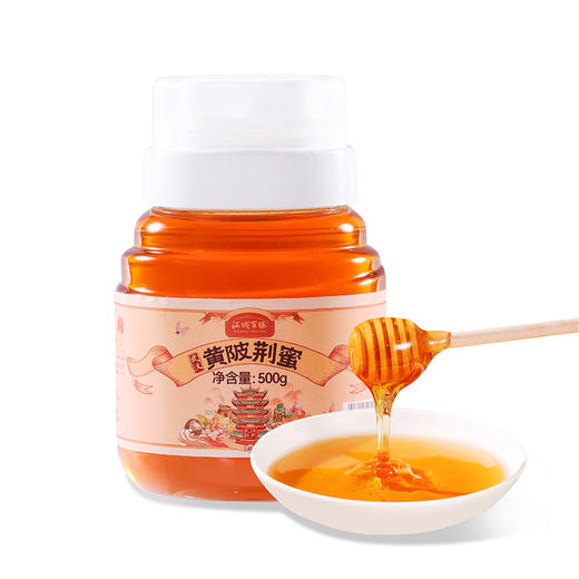 【武汉】江城百臻黄陂荆蜜500g 商品图0