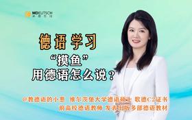 “摸鱼”用德语怎么说