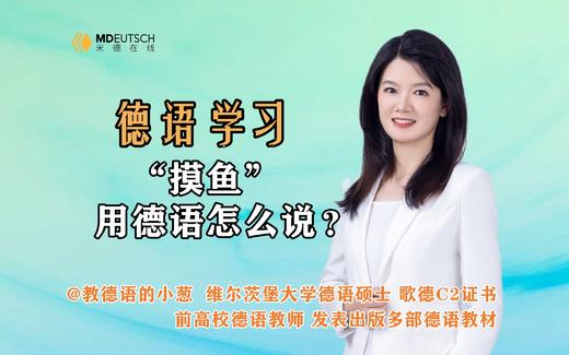 “摸鱼”用德语怎么说 商品图0