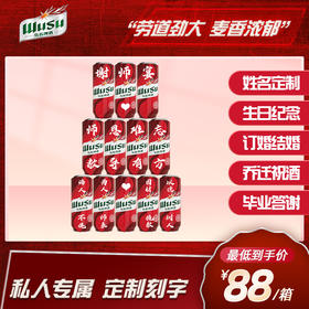 【私人订制】红乌苏啤酒定制罐多规格可选