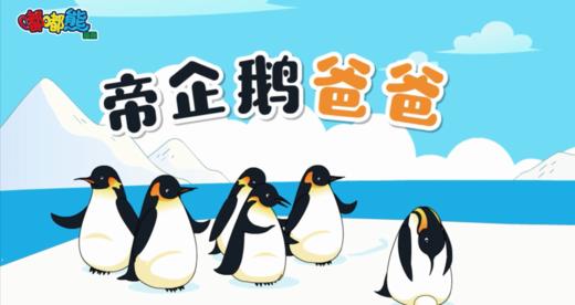 2024年11月-帝企鹅爸爸 商品图0