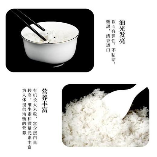 【自营】初方 庆安有机大米5kg 长粒香米黑龙江大米 商品图3