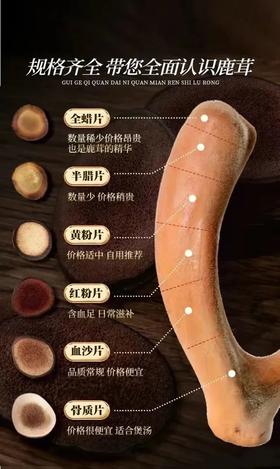  “鹿茸”被曝光了，长期吃鹿茸，男人发生惊人变化！ 