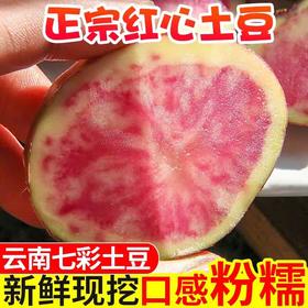 【美味可口！云南七彩土豆】现挖现发，新鲜丰富饱满 紫红云状，质嫩香糯，囗感绵密细滑 唇齿留香，回味无穷，红皮土豆彩色，现挖新鲜洋芋马铃薯L
