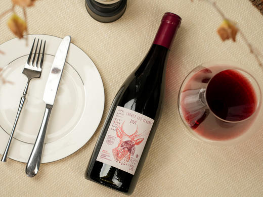 【特价】2021年法国勃艮第嬉皮酒庄绍黑伯恩干红 商品图6