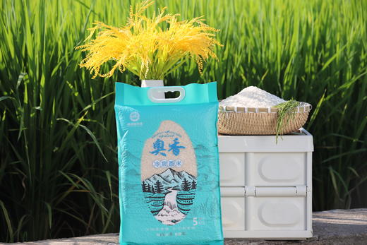 冷泉香米 奥谱隆冷泉香米 不添加 不漂白 无防腐 商品图2