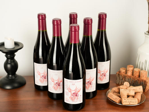 【特价】2021年法国勃艮第嬉皮酒庄绍黑伯恩干红 商品图5