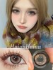 【大直径】MOREA-落霞来信棕-14.5mm 【年抛 0-1000度 含525/575】 商品缩略图0