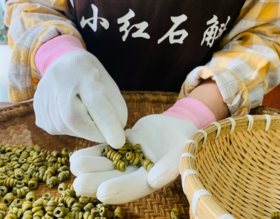  “石斛被曝光了”长期吃石斛，家人发生惊人变化 