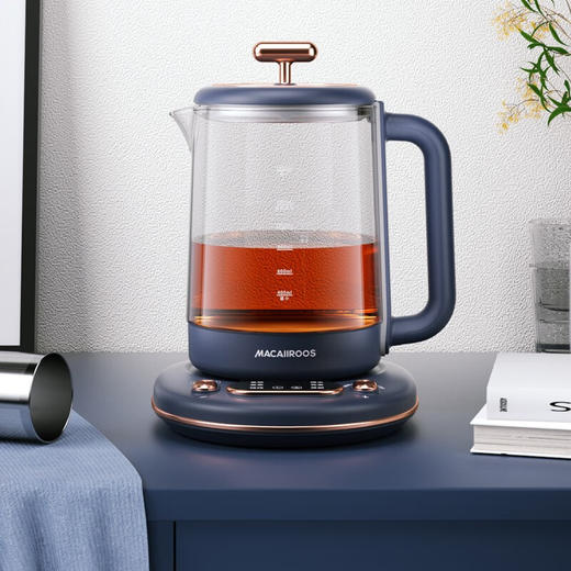 迈卡罗多功能养生壶MC-YS156 商品图4