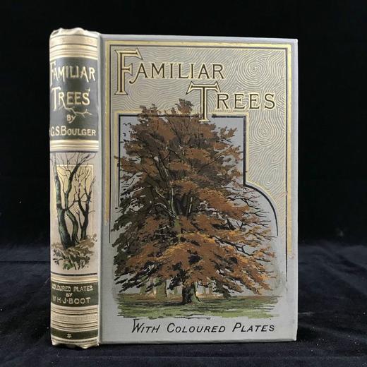 约1900年左右 常见树木图集 数十幅彩色版画插图 漆布精装32开 商品图0