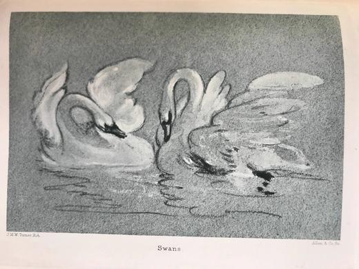 札尼斯朵夫工坊特装本！含藏书票！1902年 约翰·罗斯金《论绘画》（全2卷） 全真皮精装32开 商品图11