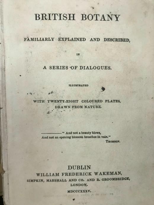 1835年 英国植物志 28幅套色版画插图 漆布精装36开 商品图2