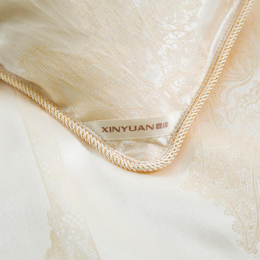 鑫缘系列真丝大提花纯桑蚕丝被 AAPL 商品图6