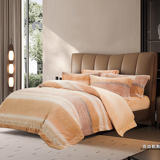 鑫缘 艾能暖绒印花四件套 DXC9418 -DXC9420 商品图2